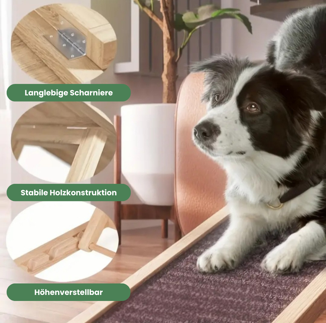 KahuPaw Haustierrampe