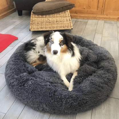 KahuPaw Wohlfühlnest