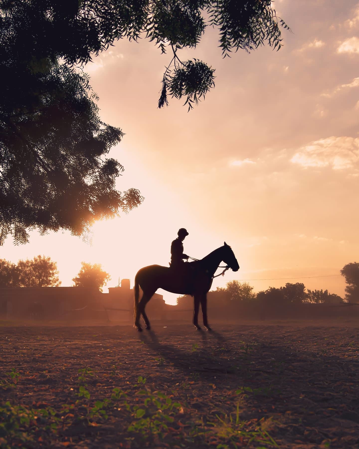 files/person-silhouetted-on-a-horse-in-a-open-field.jpg