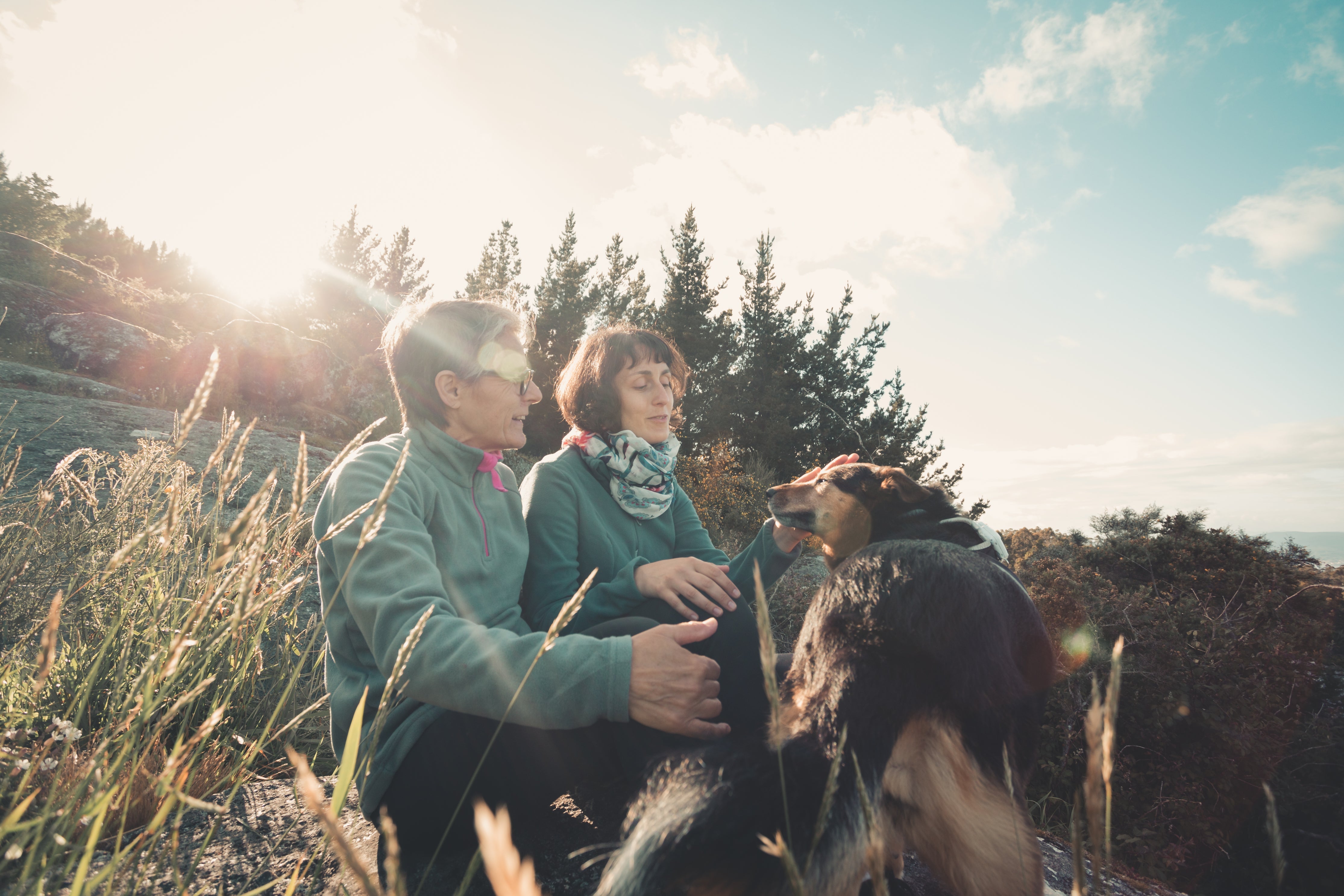 files/two-people-and-their-pet-dog-sit-on-a-rock-in-a-hill.jpg