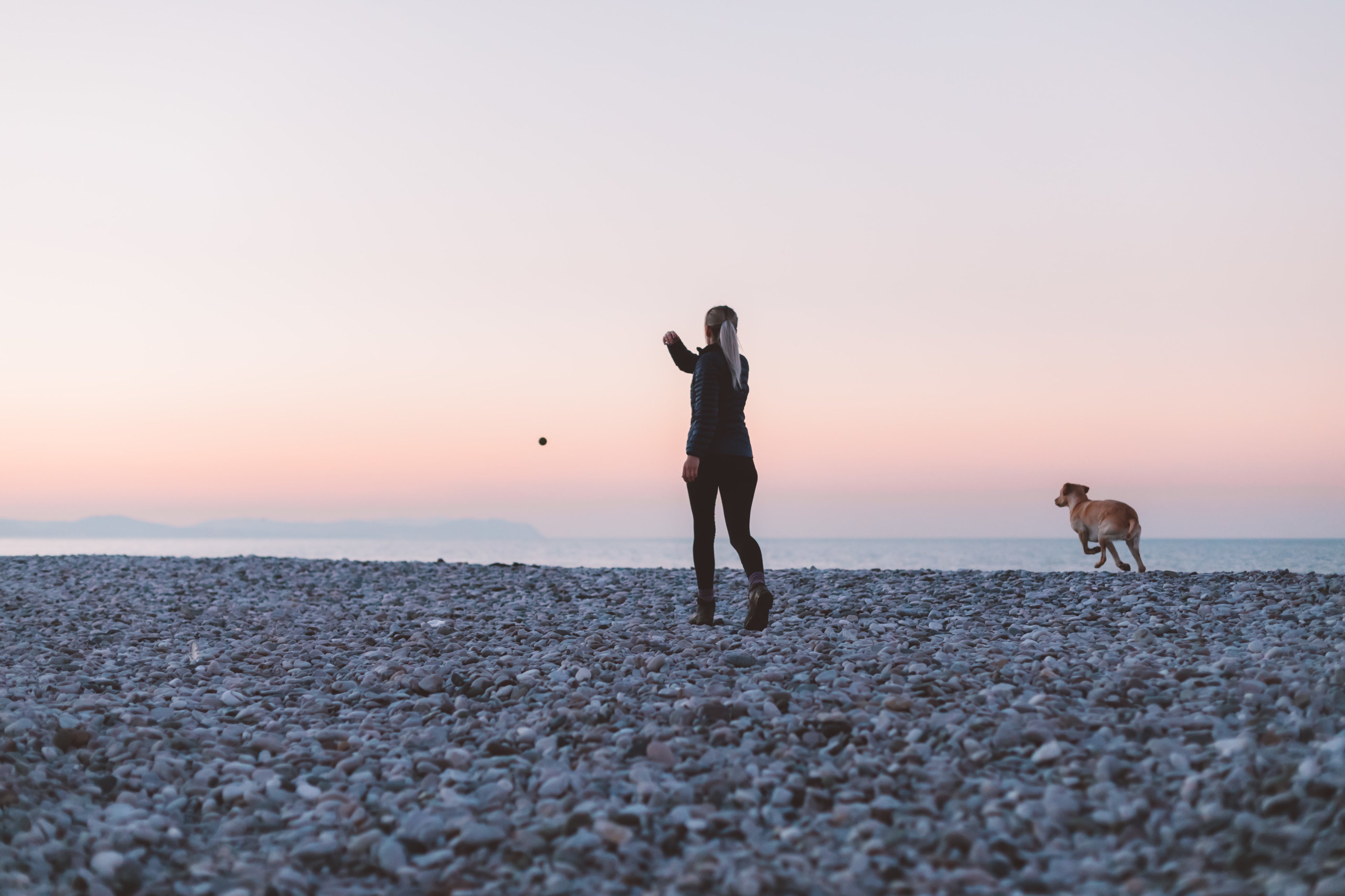 files/woman-and-dog-play-on-the-beach.jpg